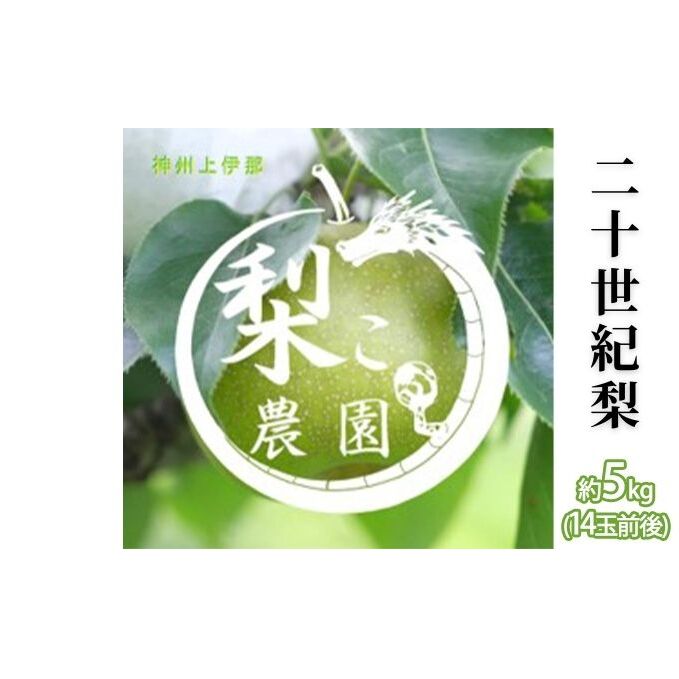 信州産 梨 二十世紀梨 約5kg(14玉前後) 先行予約 フルーツ 果物 長野 長野県産 信州産 デザート おすすめ 特産 産地直送
