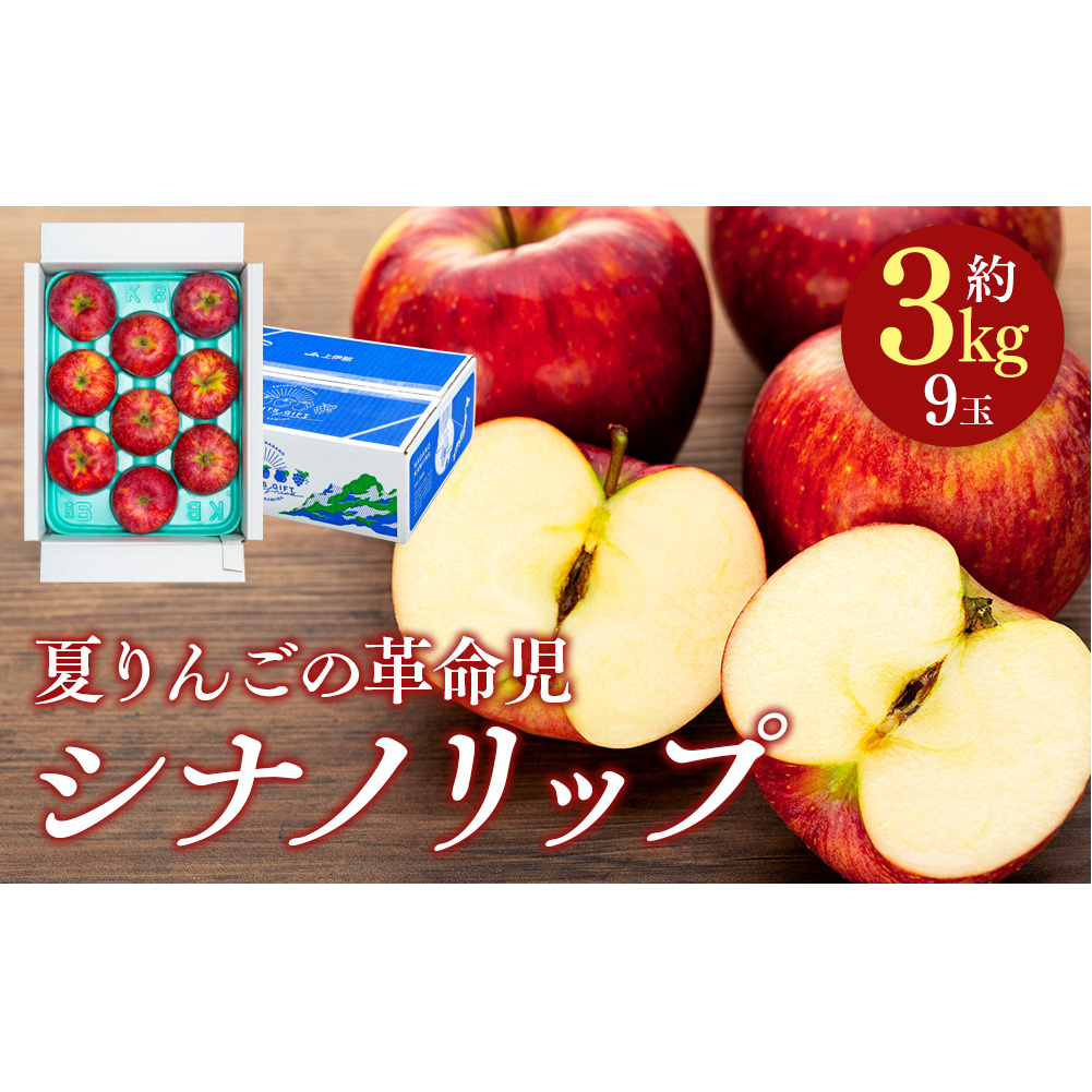 シナノリップ 約3kg(9玉) 果物 フルーツ りんご 信州産 信州のりんご 信州の果物 長野のりんご さわやかな酸味 甘味 バランス ジューシー