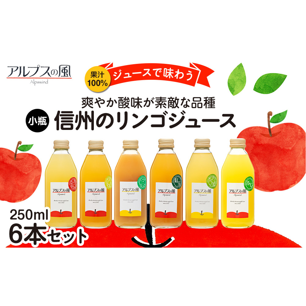 果汁100%ジュースで味わう 爽やか酸味が素敵な品種 リンゴジュース 小瓶 6本 セット 詰め合わせ ジュースで味わう信州のリンゴ 酸味爽やか りんご 林檎 アップル アップルジュース 無添加 飲料 飲料類 甘い 濃厚 長野 長野県