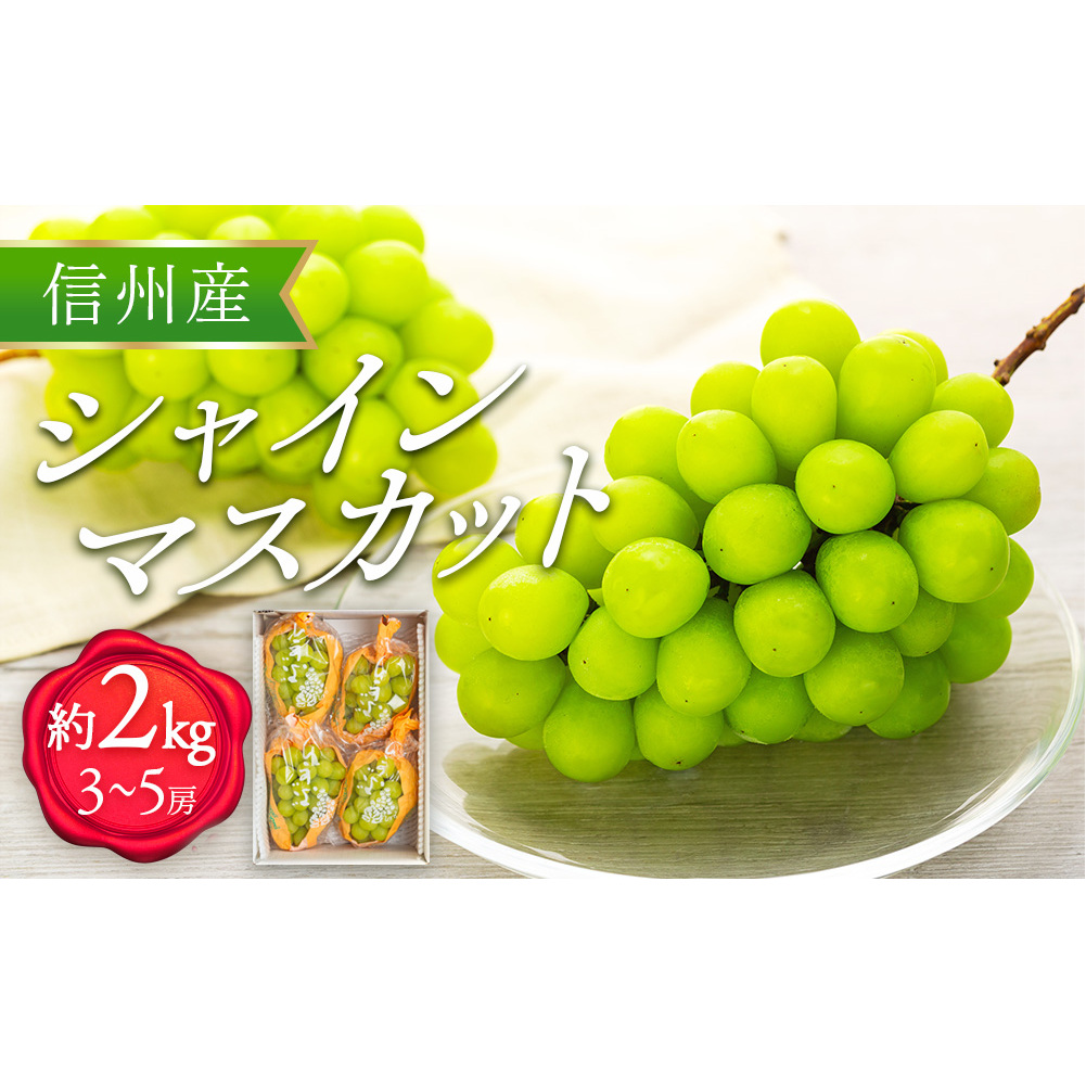 シャインマスカット 2kg 3~5房 ぶどう 葡萄 ブドウ マスカット 果物 くだもの フルーツ 旬の果物 旬のフルーツ 信州 長野 長野県