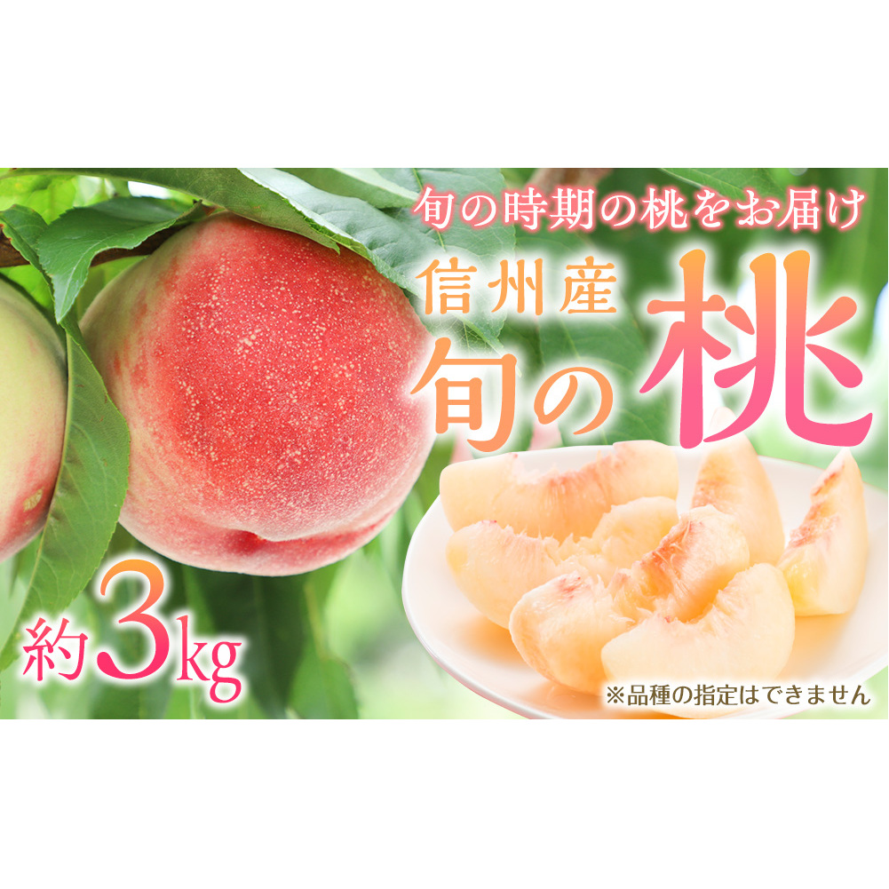 もも 3kg 11玉以上 信州のもも 桃 モモ 果物 くだもの フルーツ 旬の果物 旬のフルーツ 信州 あかつき 白桃 白根白桃 黄金桃 川中島白桃 信州 長野 長野県