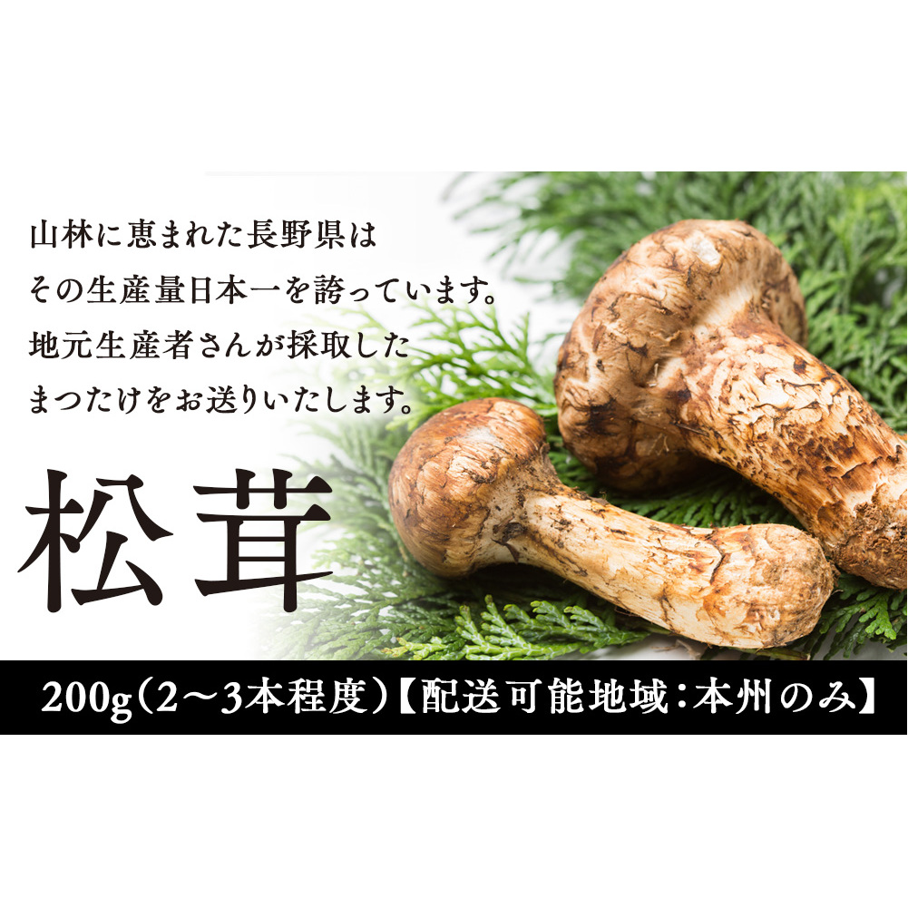 松茸 200g 2～3本程度 箕輪町産 秋の味覚 まつたけ マツタケ きのこ キノコ 旬の野菜 信州 長野 長野県 | 長野県箕輪町 | JRE  MALLふるさと納税