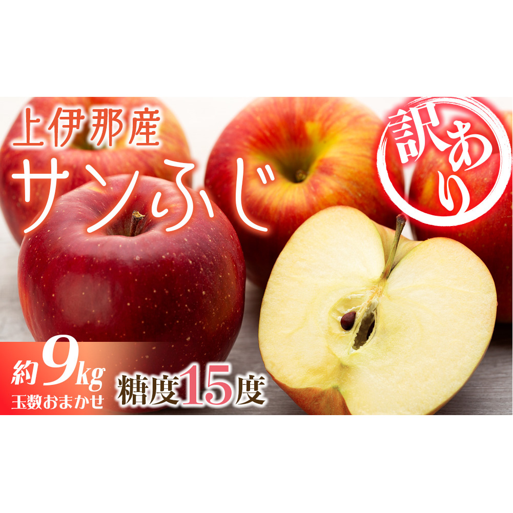 訳あり 先行予約 りんご サンふじ 選べる 4.5kg 9kg フルーツ 果物 傷 規格外 秋 冬 旬 旬のフルーツ 旬の果物 産地直送 信州 長野県産 おやつ デザート スイーツ リンゴ 長野県 2024 2024年 令和6年度発送分