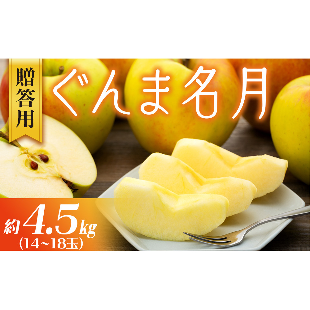りんご ぐんま名月 4.5kg 14~18玉 贈答用 果物 くだもの フル?ツ 林檎 リンゴ ぐんま名月りんご 信州りんご 旬の果物 旬のフルーツ ギフト 贈り物 プレゼント 長野 長野県 箕輪町