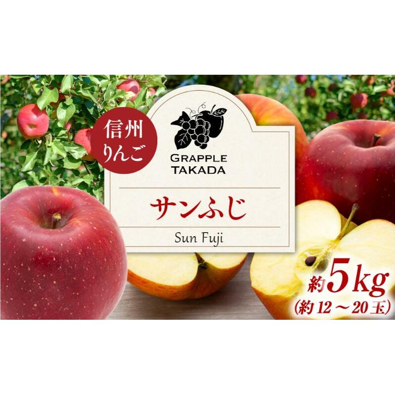 信州りんご サンフジ 約5kg  果物 フルーツ 果物類 林檎 リンゴ