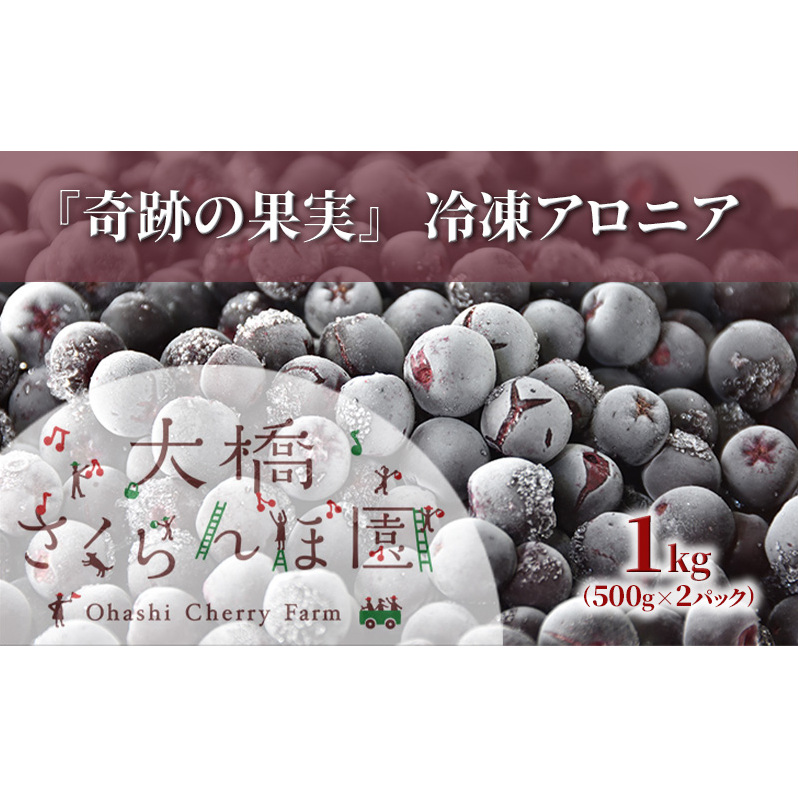 冷凍アロニア 500g × 2パック 1kg 冷凍 アロニア 果物 くだもの フルーツ 旬の果物 旬のフルーツ 大橋さくらんぼ園 果物類 フルーツ デザート 完熟 急速冷凍 新鮮 美味しい 人気 冷凍配送 北海道 芦別市