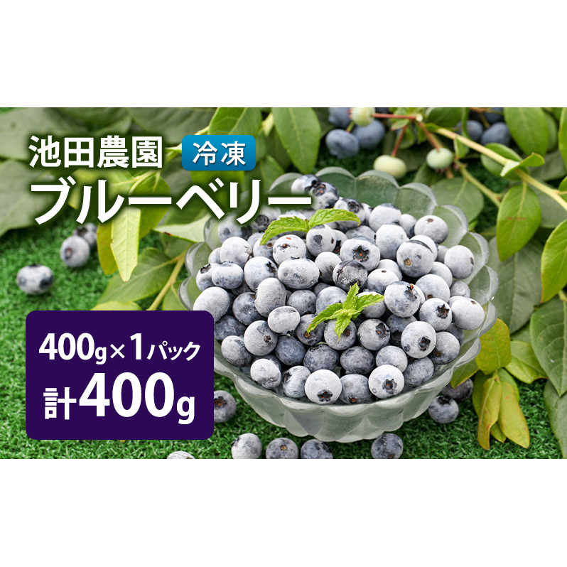 冷凍 ブルーベリー 400g (400g×1パック) 北海道産 フルーツ 果物 旬のフルーツ 旬の果物 くだもの 北海道 芦別市