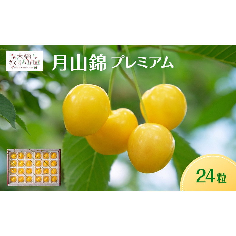 【先行予約】さくらんぼ 月山錦 プレミアム 24粒 最高級 特大粒 農林水産大臣賞受賞 大橋さくらんぼ園 フルーツ 果物 ギフト 贈り物 北海道 芦別市 送料無料
