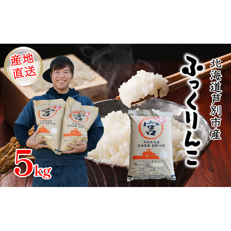 送料込み 精米済み 白米 20kg 6年度産 佐賀県産米 さがびより