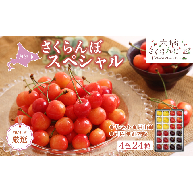 【 先行受付 】さくらんぼ 厳選 さくらんぼスペシャル 4色 24粒 大橋さくらんぼ園 化粧箱入り ギフト お中元 贈り物 サミット 月山錦 南陽 紅秀峰 サクランボ チェリー 果物 果物類 フルーツ デザート 北海道 芦別市