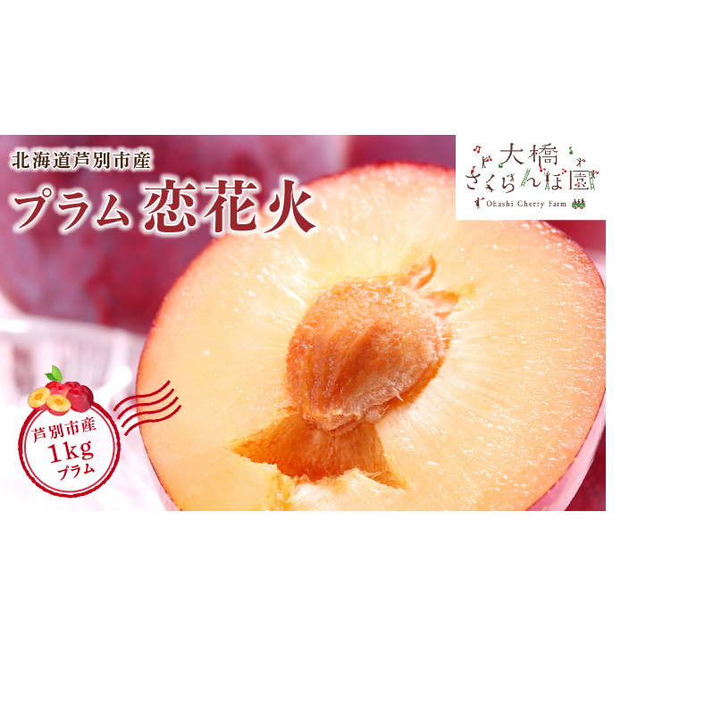 先行予約 プラム 恋花火 1kg フルーツ 果物 くだもの 旬のフルーツ 旬の果物 季節のフルーツ 季節の果物 北海道 芦別市