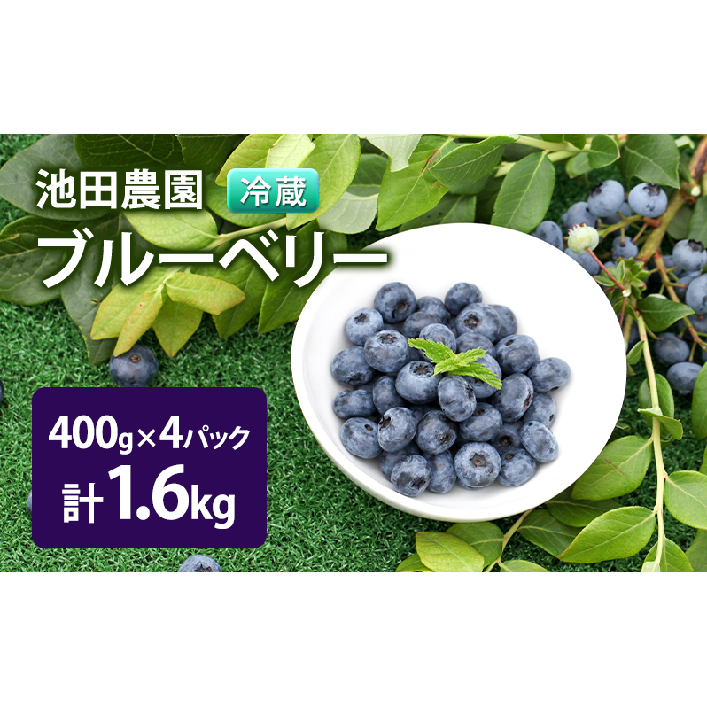 【2025年夏配送】生 ブルーベリー 計1.6kg(400g×4パック) 池田農園 北海道 小分け 新鮮 フルーツ 果物 旬 旬のフルーツ 旬の果物 お取り寄せ 産地直送 朝ごはん デザート おやつ ヨーグルト 冷蔵 芦別市