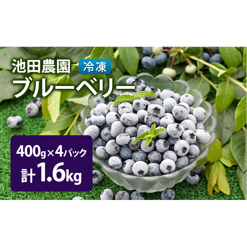 冷凍 ブルーベリー 1.6kg (400g×4パック) 北海道産 フルーツ 果物 旬のフルーツ 旬の果物 くだもの 北海道 芦別市