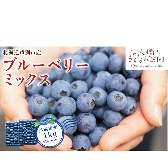 先行受付 ブルーベリー ミックス 1kg 冷蔵 果物 くだもの フルーツ 旬の果物 旬のフルーツ 8品種 ミックスブルーベリー 大粒 小粒 北海道 芦別市