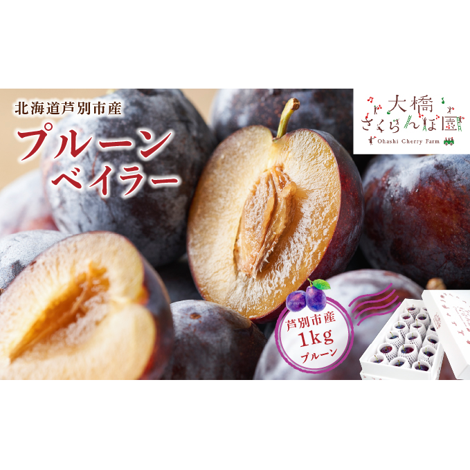 プルーン 先行受付 ベイラー 1kg 生 フルーツ 果物 旬のフルーツ 旬の果物 くだもの 北海道 芦別市