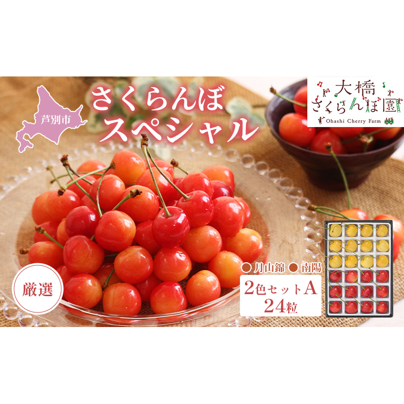 先行予約 厳選 さくらんぼ スペシャル 2色 セット A 24粒 (赤・黄) 南陽 月山錦 食べ比べ  フルーツ 果物 季節のフルーツ 旬 旬のフルーツ 夏 化粧箱 ギフト 贈り物 贈答 プレゼント 冷蔵 冷蔵配送 北海道 芦別市 お届け:2025年7月中旬頃~