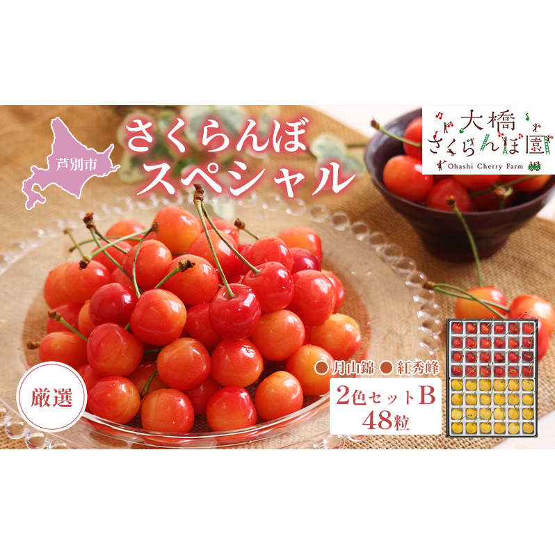 さくらんぼ 先行受付 厳選 さくらんぼスペシャル 2色B 48粒 赤 黄 大橋さくらんぼ園  農林水産大臣賞 受賞 化粧箱入り ギフト お中元 贈り物  紅秀峰 月山錦 サクランボ チェリー 果物 フルーツ デザート