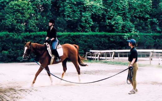 NO1106 四街道グリーンヒル乗馬クラブ 店頭利用券 16500円分 / 乗馬体験 ビジターレッスン １回使い切り