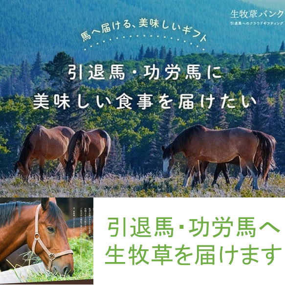 NO562 生牧草バンクで使えるクーポン / 中央牧草センター / 生牧草バンク 牧草バンク クラウドギフティング 馬 生牧草 牧草 引退馬 功労馬 元競走馬 牧場 支援 ギフト