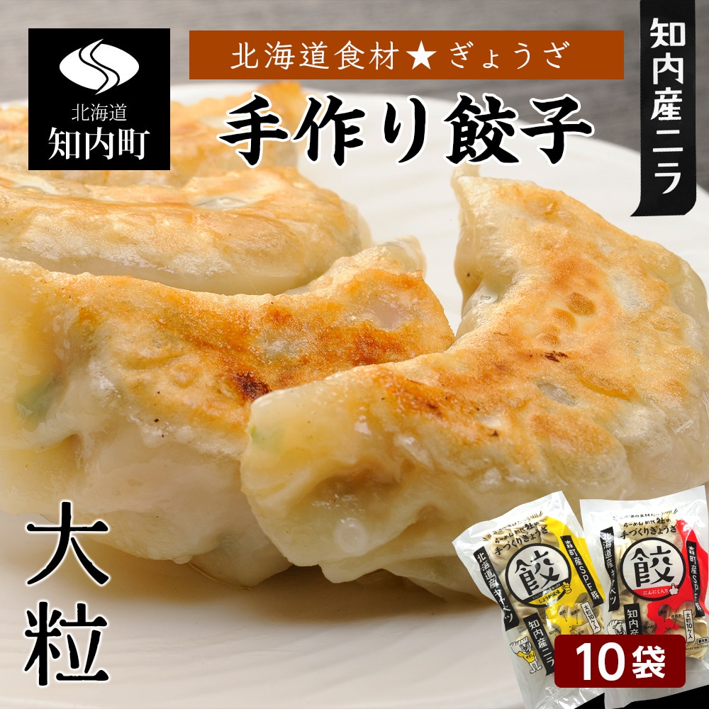 北海道の食材たっぷり！手作り餃子１０袋セット＜スリーエス＞