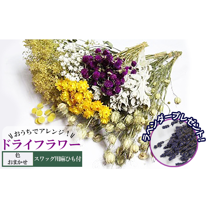 <おうちでアレンジ!>ドライフラワー(色おまかせ)プレゼント付 北海道 南富良野町 ドライフラワー 花 お花 華 花束 ファッション小物 インテリア 贈り物