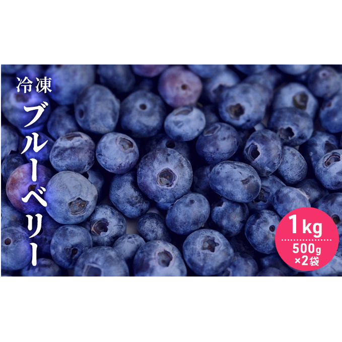 自家農園産・冷凍ブルーベリー1kg(500g×2袋) 北海道 南富良野町 ブルーベリー 果実 冷凍 大容量 冷凍ブルーベリー 果物 フルーツ セット 詰め合わせ