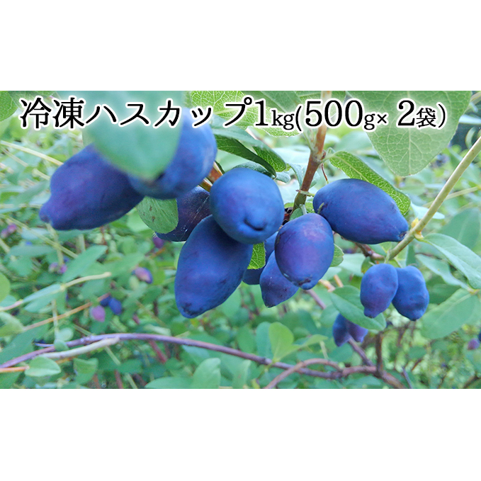 自家農園産・冷凍ハスカップ1kg(500g×2袋) 北海道 南富良野町 ハスカップ 果実 冷凍 大容量 冷凍ハスカップ 果物 フルーツ セット 詰め合わせ