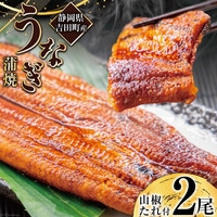 うなぎ 国産 静岡 うなぎ蒲焼 150g 以上× 2尾  タレ 山椒 付き [大井川うなぎ 静岡県 吉田町 22424464]  鰻 ウナギ うなぎかば焼き うなぎ蒲焼き 鰻蒲焼 鰻蒲焼き ウナギかば焼き 真空パック 蒲焼 タレ たれ 静岡県産 unagi