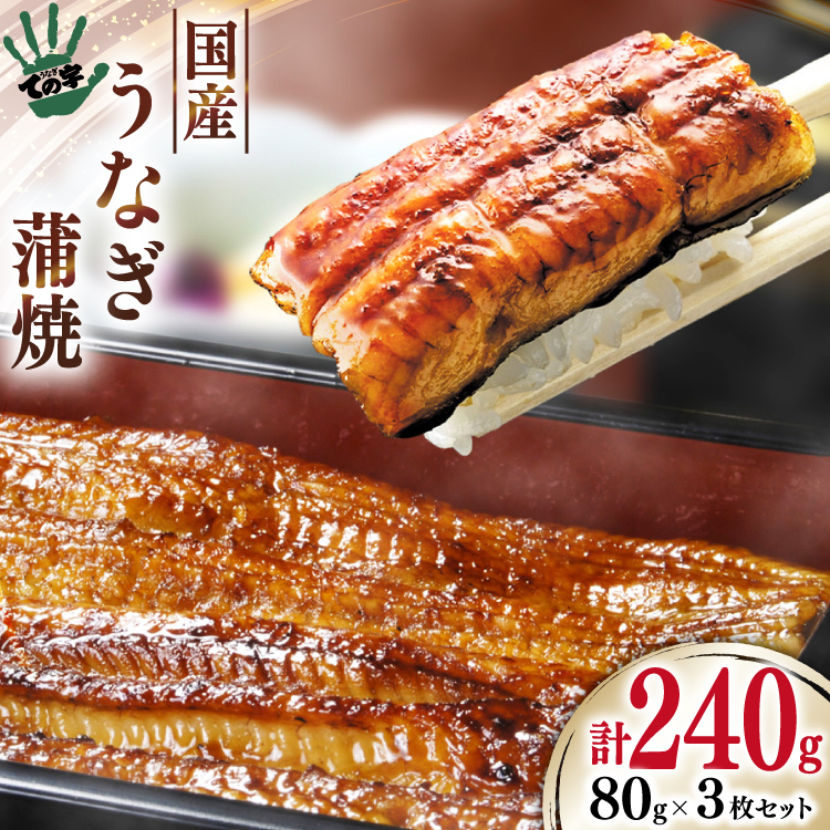 うなぎ 国産 蒲焼 80g ×3 計240g [ての字 静岡県 吉田町 22424460] 鰻 ウナギ うなぎかば焼き うなぎ蒲焼き 鰻蒲焼 鰻蒲焼き ウナギかば焼き 真空パック 蒲焼 タレ たれ 静岡県産 unagi