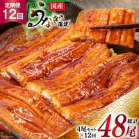 『定期便』国産うなぎ蒲焼・4尾セット 全12回 [マルニうなぎ加工 静岡県 吉田町 5024122]