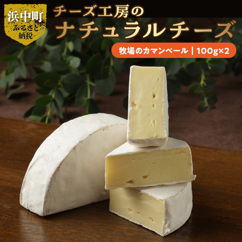 チーズ工房のナチュラルチーズ　牧場のカマンベール100g×2_H0003-010