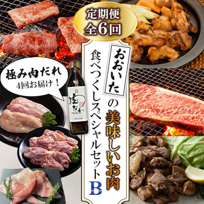 【毎月定期便】おおいたの美味しいお肉食べつくしスペシャルセットB全6回【配送不可地域:離島】【4063860】