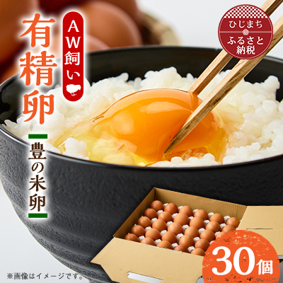 大分生まれのAW飼い有精卵「豊の米卵」30個入り【配送不可地域：離島】【1610938】