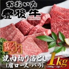 おおいた豊後牛焼肉切り落とし 1kg(500g×2P)(日出町)【配送不可地域:離島】【1571737】