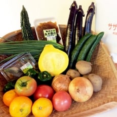 産地直送!旬の朝採れ野菜のセット(9～13種程度)【配送不可地域：離島】【1088636】