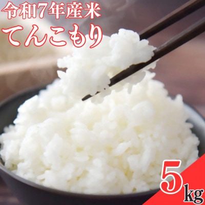 【令和7年産米】てんこもり5kg【1623581】