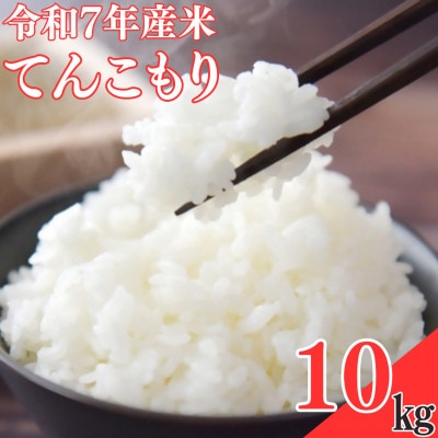 【令和7年産米】てんこもり10kg【1623582】
