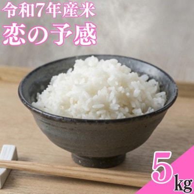【令和7年産米】恋の予感5kg【1623583】