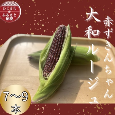 大分県日出町産 大和ルージュ【赤ずきんちゃん】7～9本【配送不可地域：離島】【1635809】