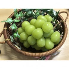 【先行受付・2024年8月上旬発送開始】大粒であまいシャインマスカット(700g以上×3房)【配送不可地域：離島】【1216193】