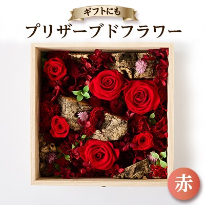 プリザーブドフラワー赤【1662936】