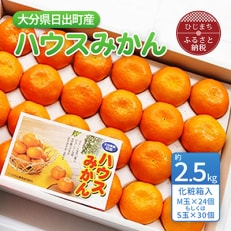 大分県日出町産　ハウスみかん 約2.5kg(化粧箱入)【1106333】