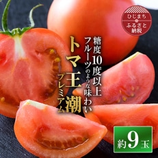 2026年1月下旬から順次発送【糖度10度以上】高糖度トマト 「トマ王 潮プレミアム」約9玉~【配送不可地域:離島】【1087104】