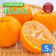 【12月中旬より発送】ぽんかん 約5kg(ダンボール箱入り)【1106337】
