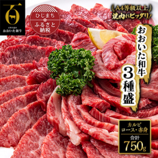 おおいた和牛 焼肉にピッタリ!牛肉の3種盛(カルビ・ロース・赤身)(合計750g)【配送不可地域：離島】【1089360】