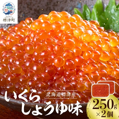 いくら・しょうゆ味・標津産　250g×2個 イクラ 北海道 人気 おすすめ さけ 魚卵 天然 海産物【配送不可地域：離島】【1176414】