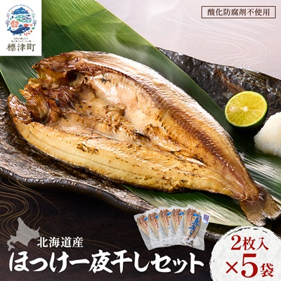 北海道産 天然ほっけ一夜干しセット 2枚入×5袋　干物 ホッケ 北海道産 冷凍【配送不可地域：離島】【1133087】