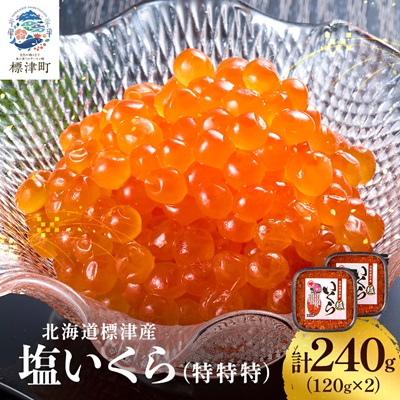 【令和6年新物】塩いくら120g×2パック 塩漬け イクラ 北海道 人気 おすすめ 小分け 天然【配送不可地域：離島】【1572815】