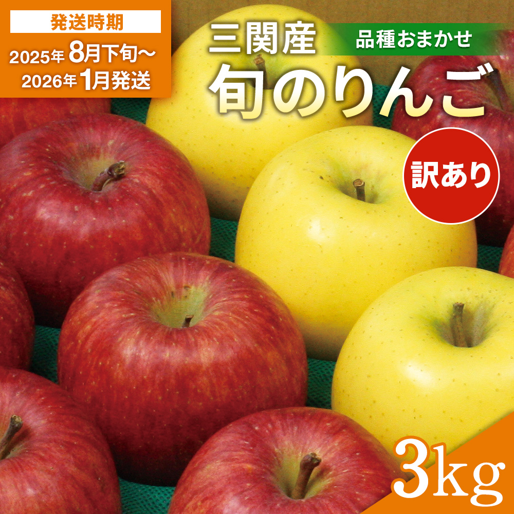 三関産 旬のりんご 家庭用 3kg （8玉～12玉） 旬 りんご 品種お任せ 果物 フルーツ 秋田県 三関 【三関果樹研究会】[J15101]