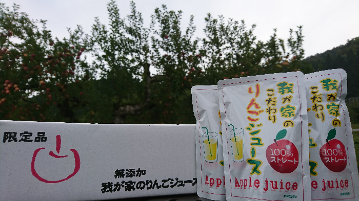 三関産ふじ100％リンゴジュース【奥山農園】[B1-10401]